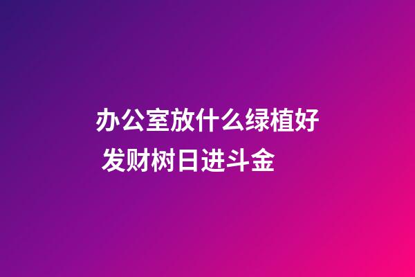 办公室放什么绿植好 发财树日进斗金